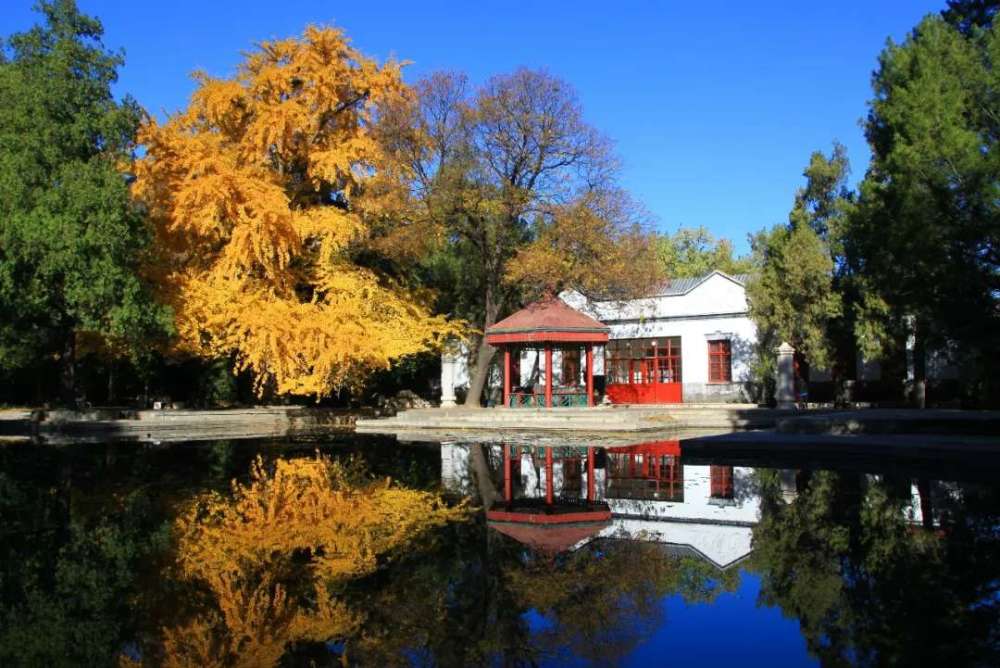 香山公园|北京启动“云游公园 聆听红色故事”线上活动