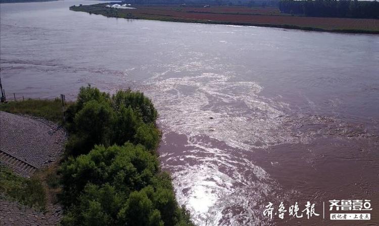 黄河洪峰抵达济南且看其汹涌气魄