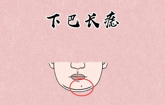 下巴即地阁,代表一个人的命运和晚年积累财富的能力.