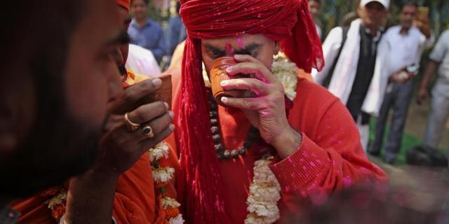 临床试验|印度牛尿牛粪治疗新冠进入临床试验，医生放话：啥病都治