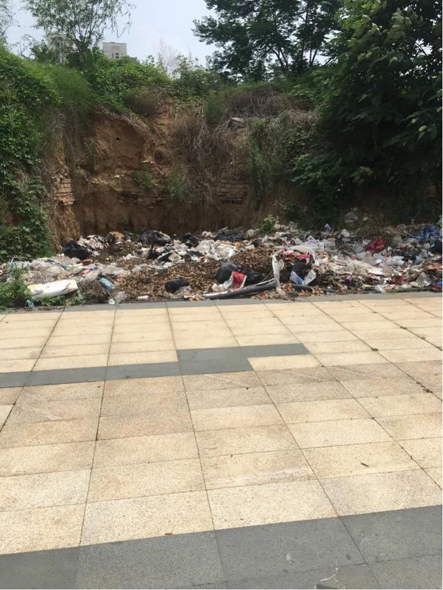 这应该就是抛尸现场了