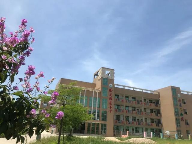南安这些村支书村主任不领工资还捐款捐空调帮老人买医保