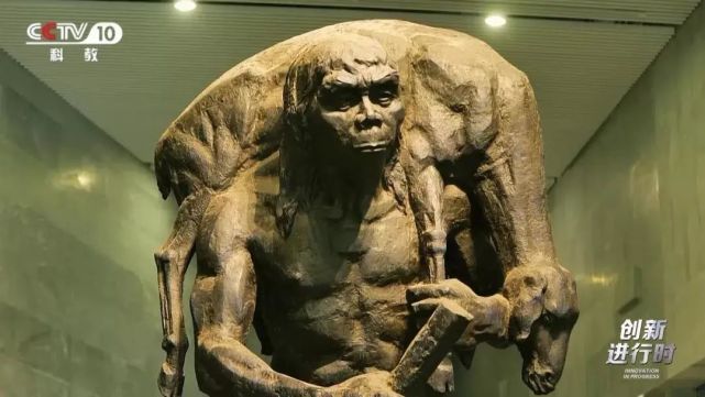 为70万年前的北京人老房子遮风挡雨