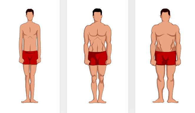 "偏瘦,偏胖,健壮"三种身形的英文表达
