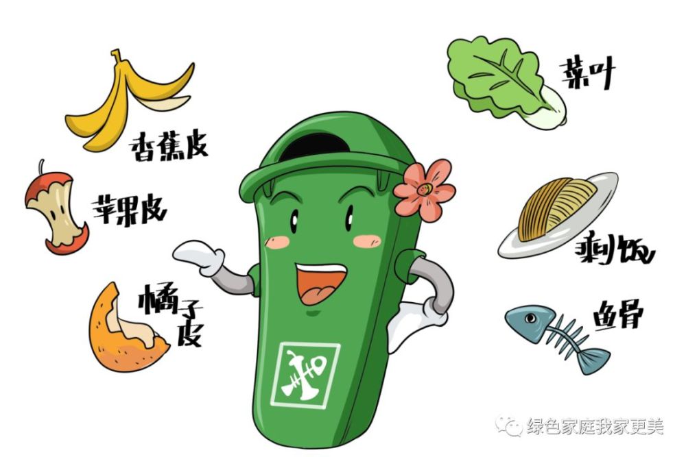 垃圾分类从我家做起