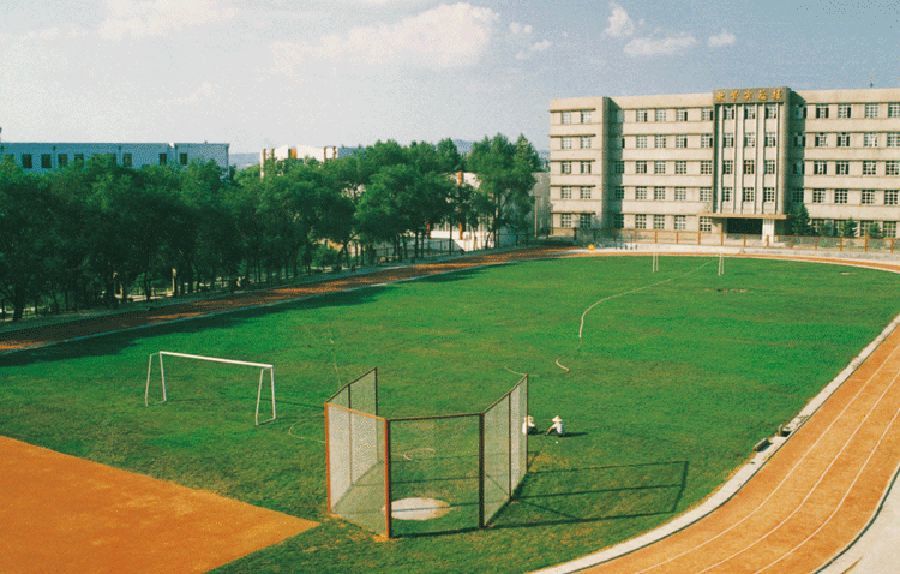 我记忆中的鹤岗市第一中学如今已经变了另一番模样
