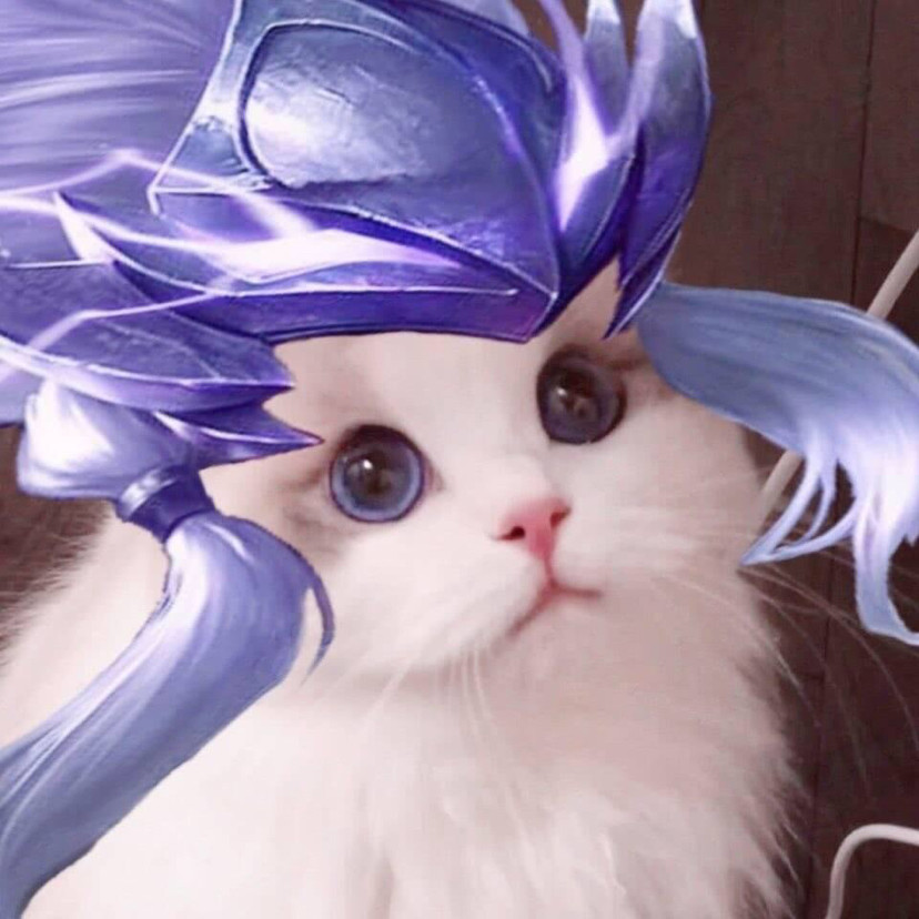 王者荣耀英雄喵喵头像·萌炸了_腾讯新闻