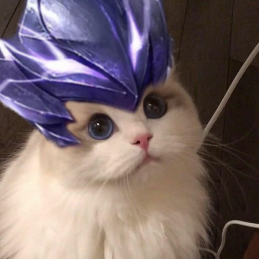 王者荣耀英雄喵喵头像·萌炸了_腾讯新闻