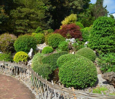 昆明盤龍區五大景區:雲南野生動物園,昆明植物園不容錯過!