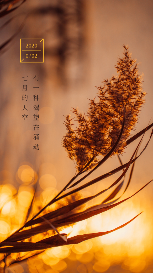 7月2日早安心语正能量早安激励语录,七月你好早安图片带字