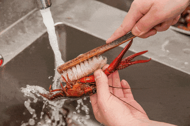 听过超声波清洗机,但却不知道它能干这么多事情|小龙虾|超声波|宵夜