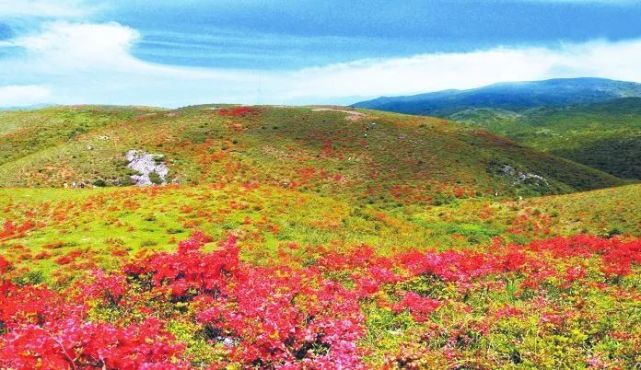 古田县杉洋镇白溪村:古朴村庄 惬意草场