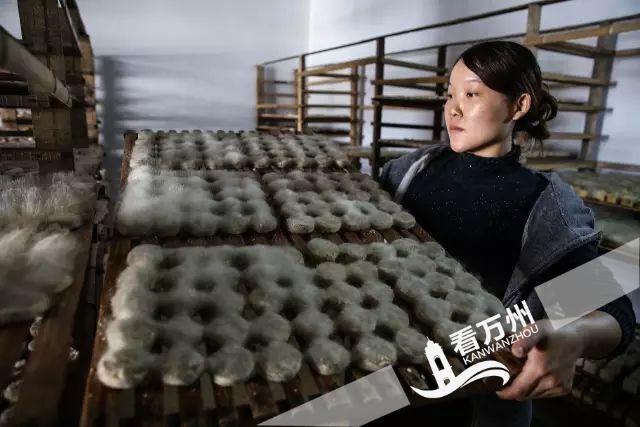 豆渣发霉了还可以吃这百年风味可是云阳人的最爱