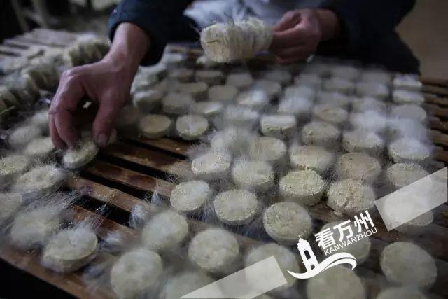 豆渣发霉了还可以吃这百年风味可是云阳人的最爱