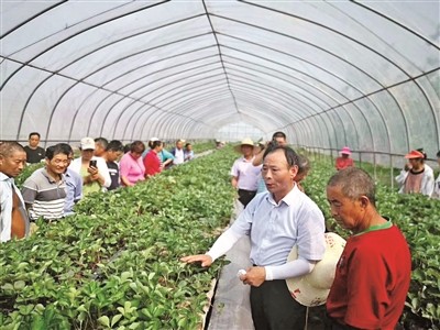 句容市委宣传部提供糜林牺牲在岗位上之前,是镇江市农业科学院果树