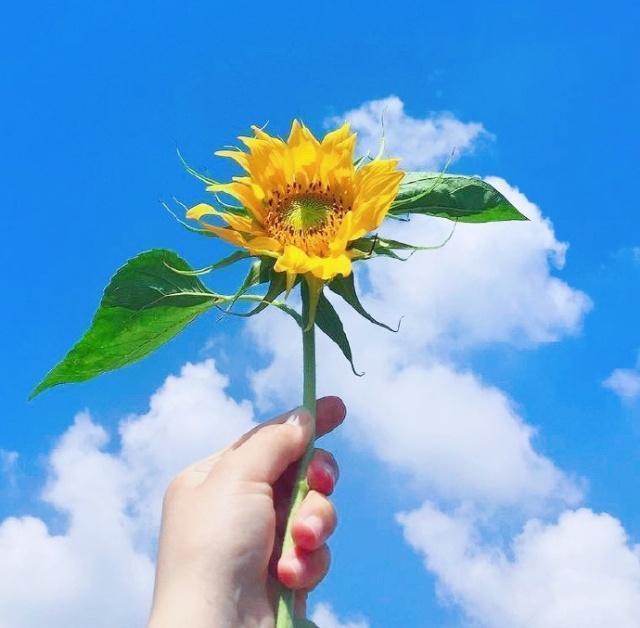 积极阳光的早安句子,励志向上,充满朝气