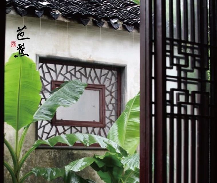 芭蕉荫里,一窗闲梦