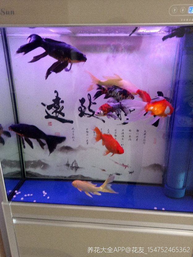 家里4种废水 收集起来装瓶里 拿来浇花正好 腾讯新闻