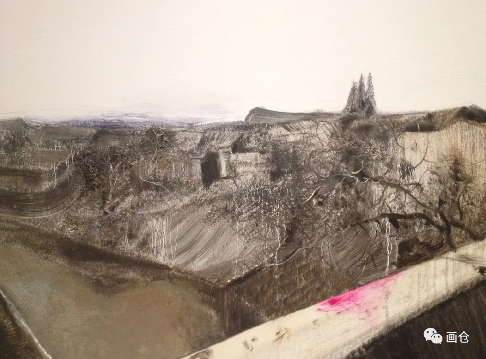 【画仓】张新权