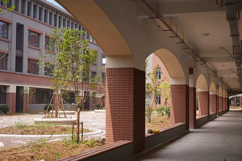 教学楼间的小小绿化带