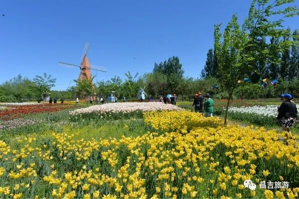 极致欢畅,兴致与生活同行——杜氏旅游景区