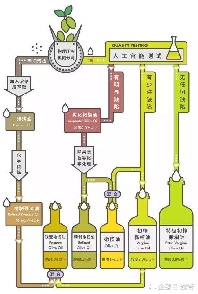 橄榄油怎么选 先来了解分类等级 记住这几点就知道了 腾讯新闻