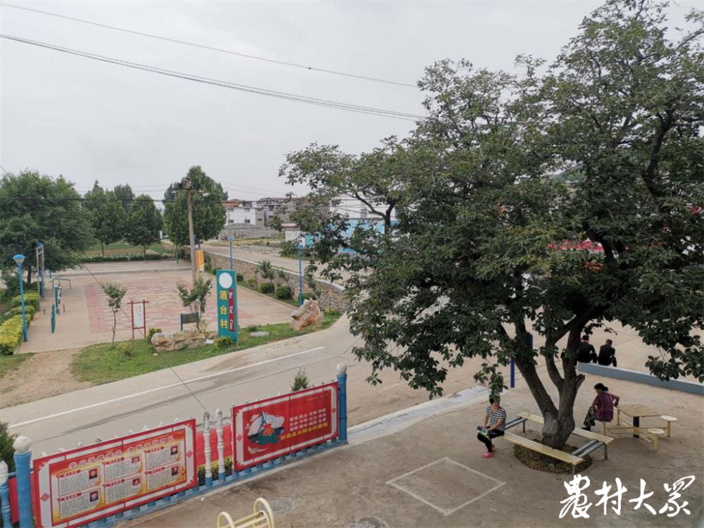 关于致富路上的带头人林秀华的信息