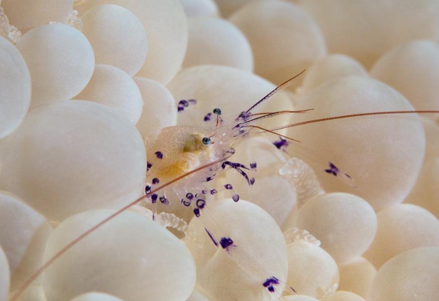 老鼠|有趣的生物们，原来犀牛也会路痴，迷路后就会发出老鼠般的声音