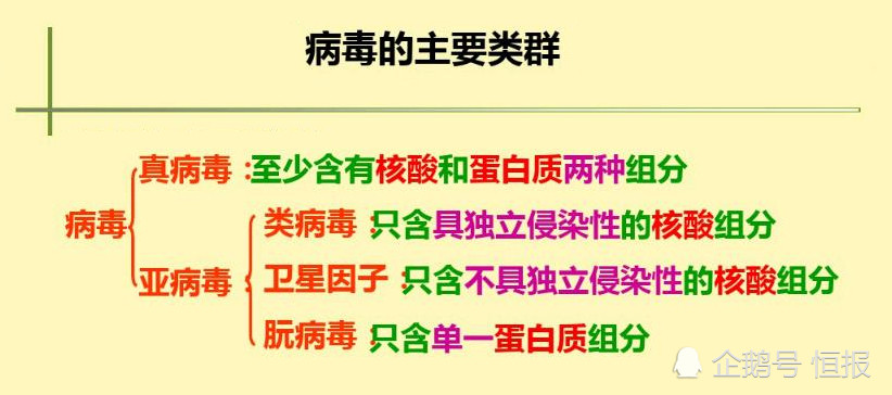 生物界|生物界毒王，感染后只能等死，冲击中心法则的朊病毒究竟是何方神圣？
