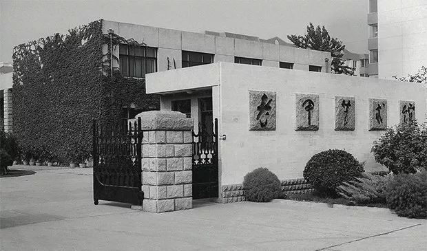 老甲|老甲：童年的喜悦