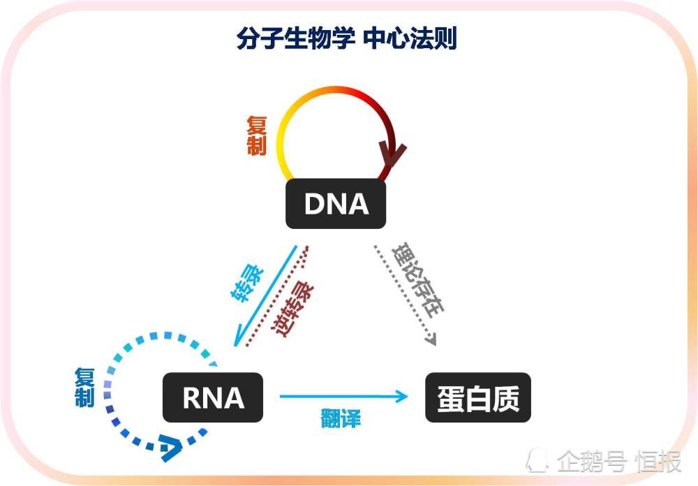 生物界|生物界毒王，感染后只能等死，冲击中心法则的朊病毒究竟是何方神圣？