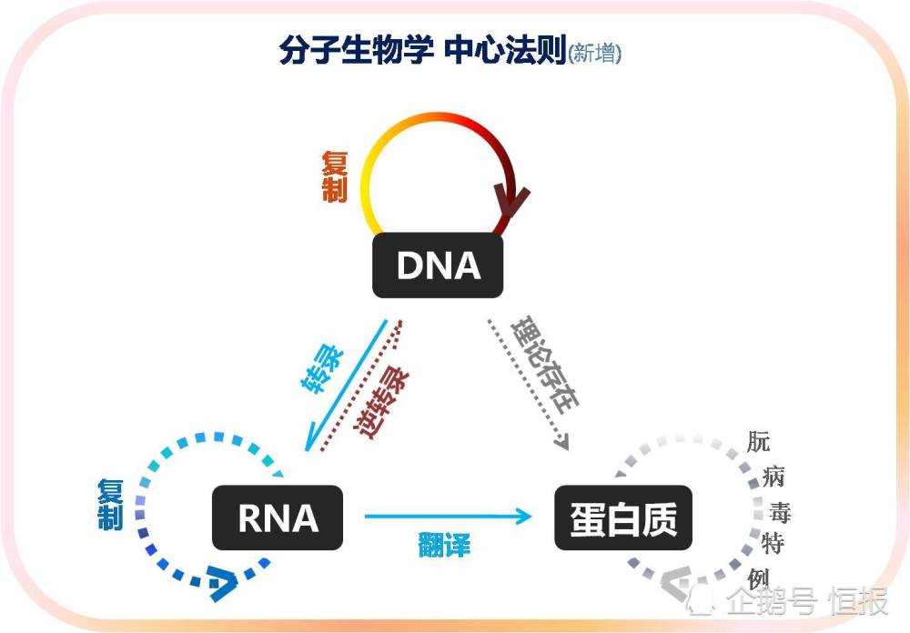 生物界|生物界毒王，感染后只能等死，冲击中心法则的朊病毒究竟是何方神圣？