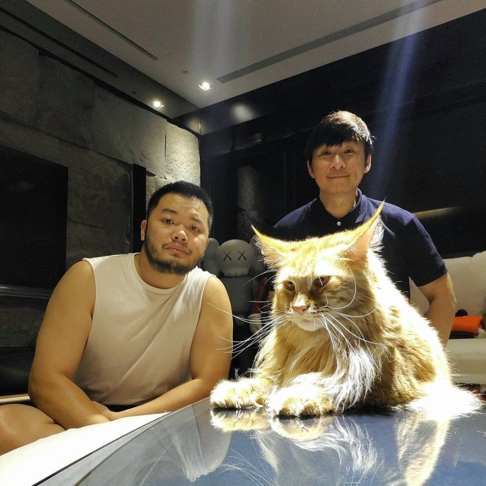 "天王天后推手"陈镇川与交往9年男友结婚了,登记日期意义非凡_腾讯