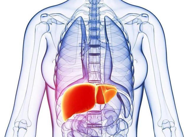 肝癌早期的六大症状有:1,原有肝炎史者,肝区疼痛突然加剧和疼痛性质