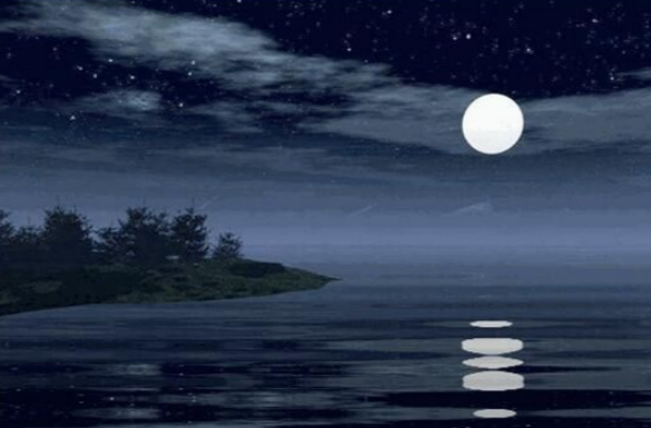 晓月居望月-王杰平