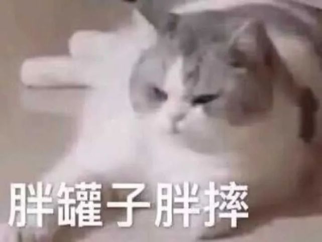 641