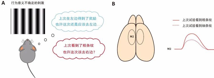 脑膜瘤|脑科学日报：超声有望治疗最致命的脑瘤；焦虑为何会让你发胖？