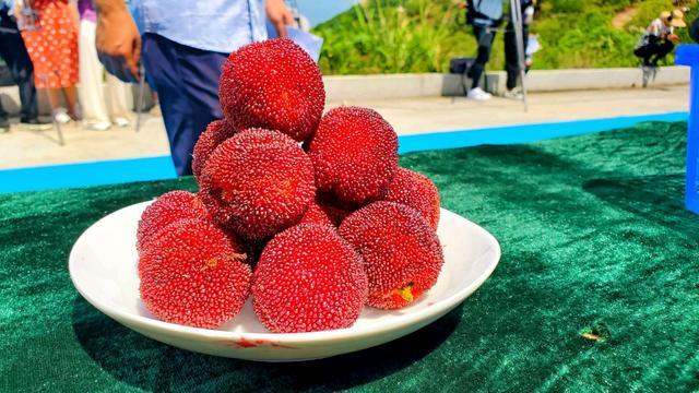 浙江临海的杨梅,称中国第二好吃的话,那么估计没有地方敢称第一