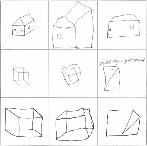 意识|左右半脑各自有独立意识？大脑：我裂开了