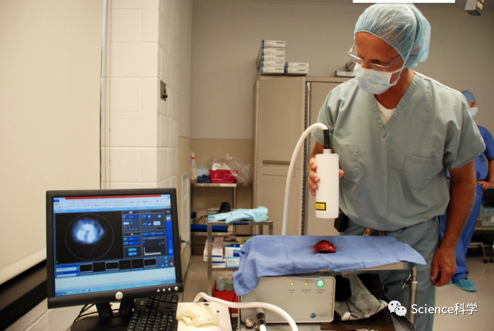 科学家已证明可利用染料来照亮狗的乳腺癌细胞 或对人类治疗有好处