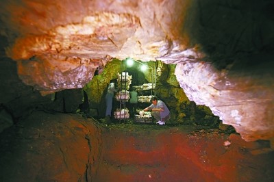 蘑菇|疫情期间找到致富路！密云海拔最高村山洞种出蘑菇