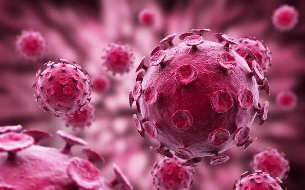 病毒|病毒存在的意义是什么，它算是生命吗？