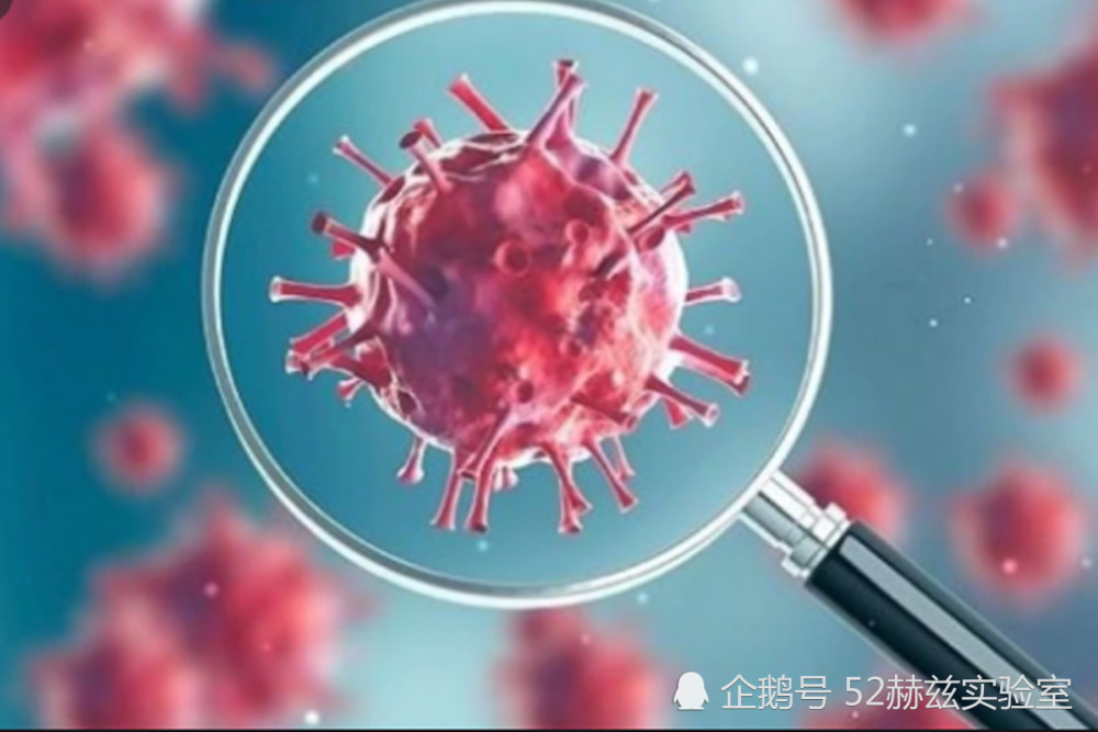 病毒|病毒存在的意义是什么，它算是生命吗？