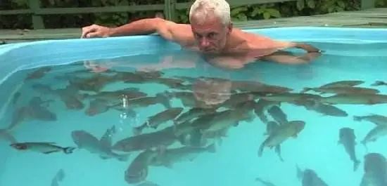 食人鱼3d|食人鱼真的“食人”吗？