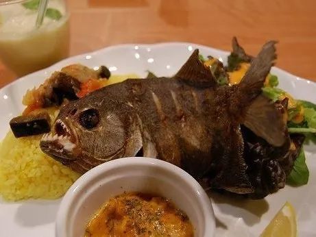 食人鱼3d|食人鱼真的“食人”吗？