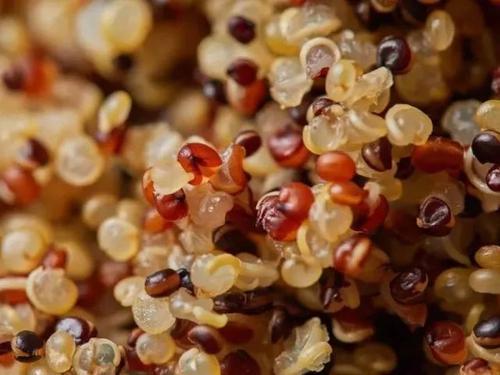 燕麦|藜麦和燕麦哪种对血糖好，更适合糖尿病人吃？真实对比数据告诉你