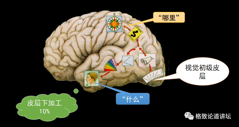 大脑|一边睡觉一边学习？或许无意识能让你梦想成真！