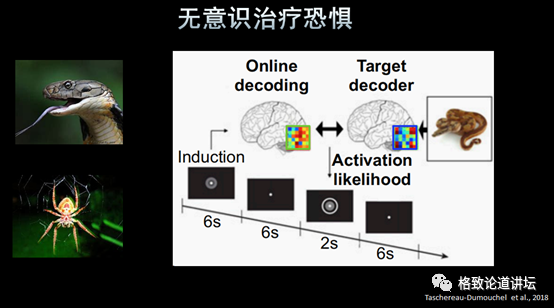 大脑|一边睡觉一边学习？或许无意识能让你梦想成真！