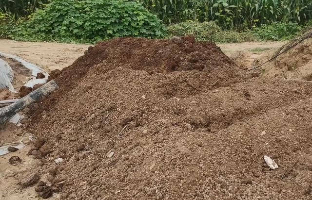 病虫害|种大棚，蔬菜拔秧后，有件事别忘了，做对了病虫害都少了