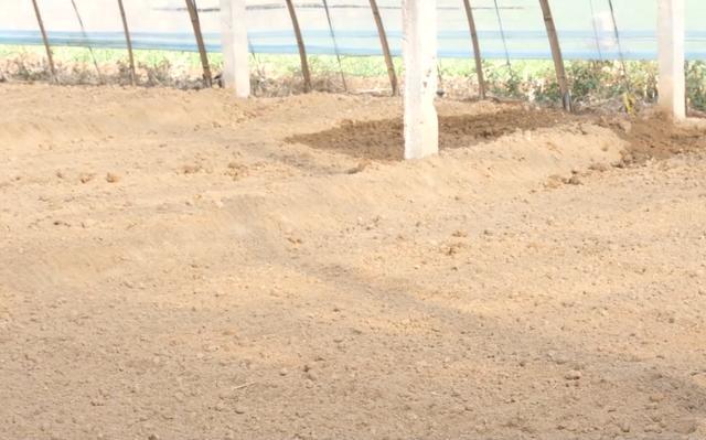 病虫害|种大棚，蔬菜拔秧后，有件事别忘了，做对了病虫害都少了